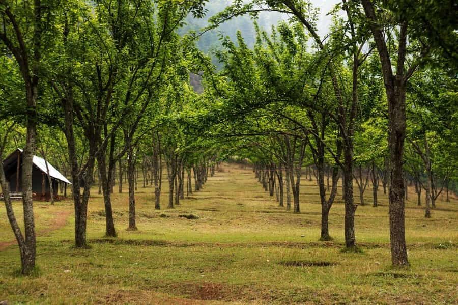 Kathmandu: Chitlang Wine Tasting Tour with Lunch & Guide - An In-Depth Look at the Chitlang Wine Tasting Tour