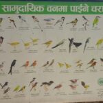 Kathmandu: Green Park & Waterfalls Tour - Breaking Down the Itinerary