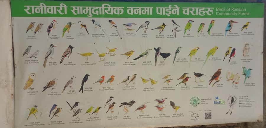 Kathmandu: Green Park & Waterfalls Tour - Breaking Down the Itinerary