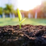 Kathmandu: Hike JamaChwok & Tree Planting for carbon neutral - A Deep Dive into the Kathmandu Green Hike & Tree Planting Experience