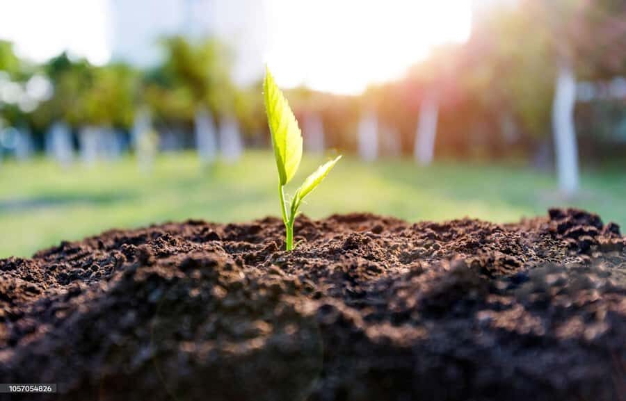 Kathmandu: Hike JamaChwok & Tree Planting for carbon neutral - A Deep Dive into the Kathmandu Green Hike & Tree Planting Experience