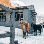 Kathmandu: Langtang Valley 7-Day Trek with Private Transfers - The Practicalities: What to Expect