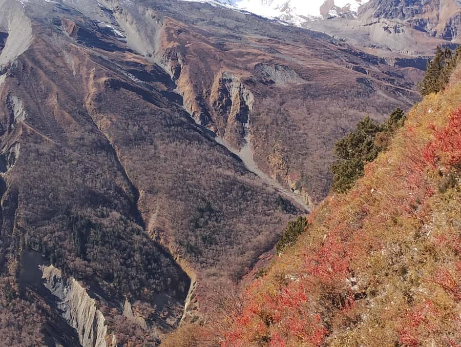Kathmandu: Manang Scenic Jeep Tour Remote Himalaya in 6 Days - What Makes This Tour Stand Out