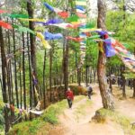 Kathmandu Private Tour: Day Hiking to Shivapuri - Why This Tour Offers Value