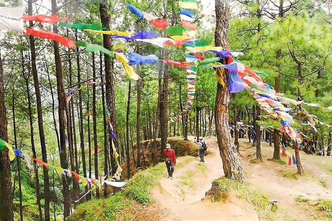 Kathmandu Private Tour: Day Hiking to Shivapuri - Why This Tour Offers Value