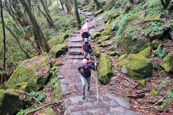 Kathmandu to Annapurna Base Camp Trek 7 Days Tour - Authentic Experiences and Reviews