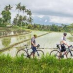 Kaura: Bike to Beach & Choose Optional Tour with Private Transfer - Value and Practicalities