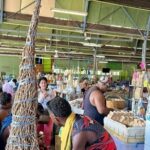 Kava Factory Tour and Flavored Kava Tasting Experience - Practical Details and Value