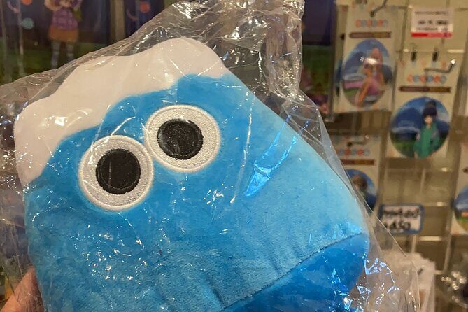 Kawaguchiko (Mt Fuji) Tour with Private Car - The Sum Up