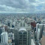 Kawasaki: Guided Walking Tour with Local Snacks - What Makes This Tour Stand Out?