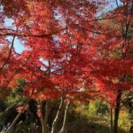 Kawasaki Nihon Minkaen Adventure Tour - Final Thoughts