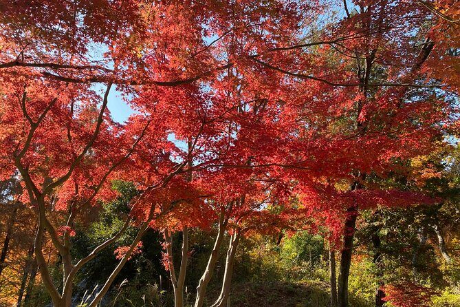 Kawasaki Nihon Minkaen Adventure Tour - Final Thoughts