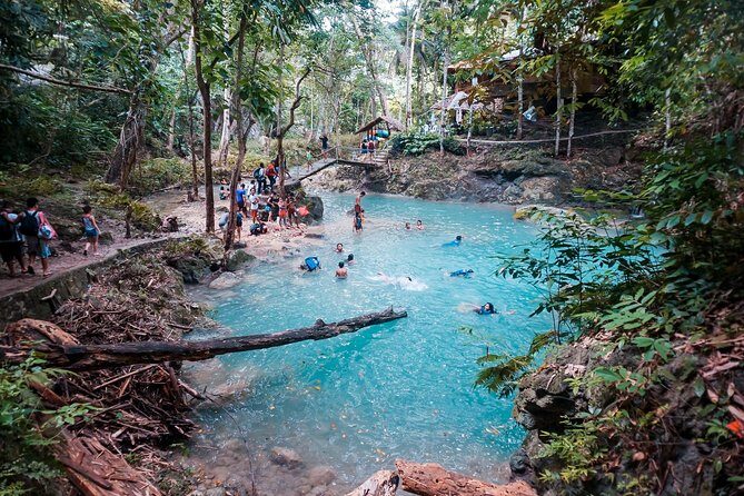 Kawasan Canyoneering, Kawasan Falls and Whaleshark Encounter - Authentic Insights from Reviews