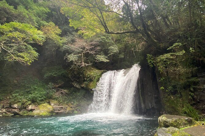 Kawazu Seven Falls Guided Tour - Why This Experience Stands Out