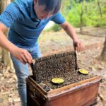 Kayaking and Land Exploration in North Phu Quoc - A Detailed Look at the North Phu Quoc Tour