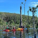 Kayaking Tour at Klong Root (Crystal Lake), Krabi - The Experience on the Water