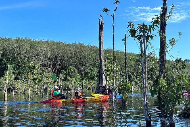 Kayaking Tour at Klong Root (Crystal Lake), Krabi - The Experience on the Water