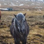 Kazakhstan: Private Almaty Day Tour & Horse Ride + Pick Up - Horseback Riding in the Canyon