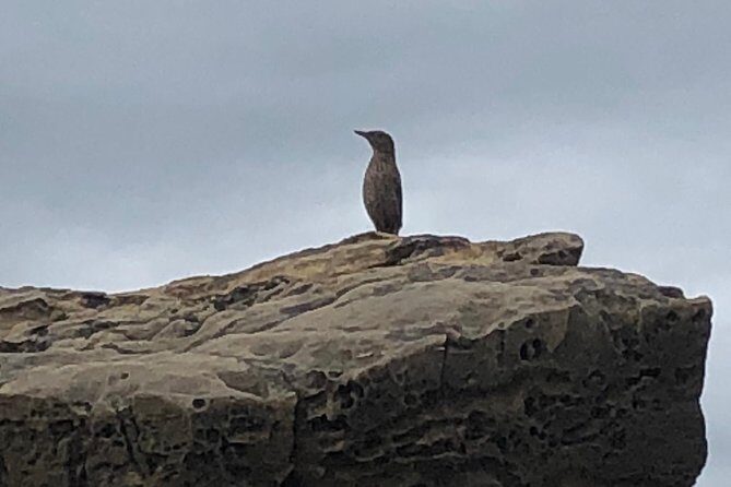 Keelung Harbor, Yeliou & Northern Coast Tour (From Taipei City) - Practical Details to Keep in Mind