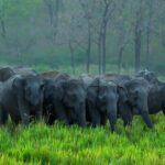 Kerala 6 Day Tour Munnar Thekkady Alleppey Kovalam Beaches - What’s Included and What’s Not