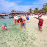 Khai Island Half Day Tour in 3 Islands (Khai Nai,Khai Nok,Khai Nui) from Phuket - In-Depth Look at the Itinerary