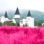 Khao Kho Private Tour from Bangkok | Thailand - Who Is This Tour Best For?