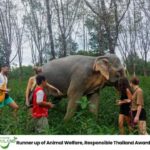 Khao Lak: 2-Hour Elephant Sanctuary Eco-Walk with Guided - Why This Sanctuary Stands Out
