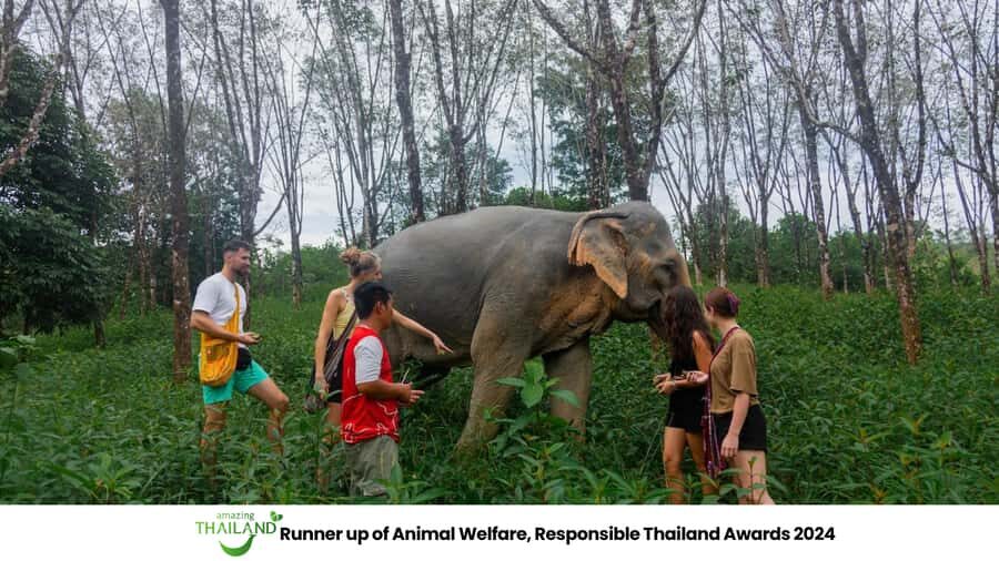 Khao Lak: 2-Hour Elephant Sanctuary Eco-Walk with Guided - Why This Sanctuary Stands Out