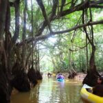 Khao Lak: Canoe Little Amazon & Trekking National Park - What Sets This Tour Apart?