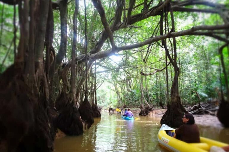 Khao Lak: Canoe Little Amazon & Trekking National Park - What Sets This Tour Apart?