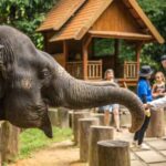 Khao Lak: Elephant Camp, Bamboo Rafting, and Waterfall Tour - Practical Details and What You Need to Know