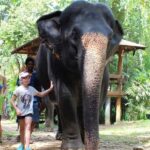 Khao Lak: Elephant Care Experience with Jungle Walk & Lunch - Why This Tour Offers Value
