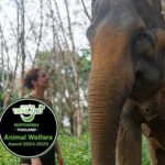 Khao Lak: Ethical Elephants & Zipline Combo Tour - The Itinerary in Detail