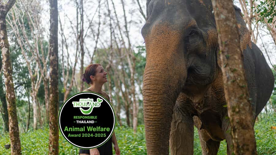 Khao Lak: Ethical Elephants & Zipline Combo Tour - The Itinerary in Detail