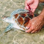 Khao Lak Full Day Tour: Sarasin Bridge, Khao Lak National Park, Lampi Waterfall - Practical Insights: What You Need to Know