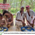 Khao Lak: Guided Tour to Elephant Sanctuary & Hotel Transfer - The Itinerary Breakdown