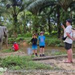 Khao Lak: Highlights with Temple, Turtles & Elephants Tours - A Closer Look at the Itinerary