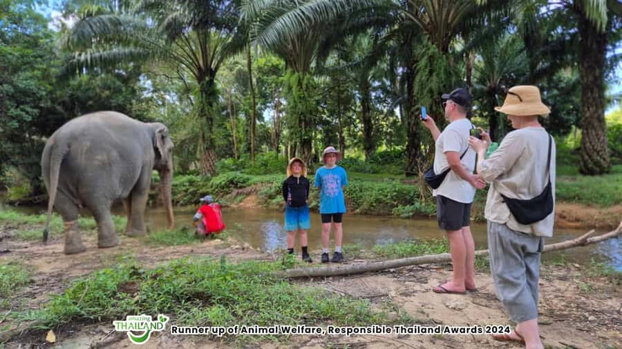 Khao Lak: Highlights with Temple, Turtles & Elephants Tours