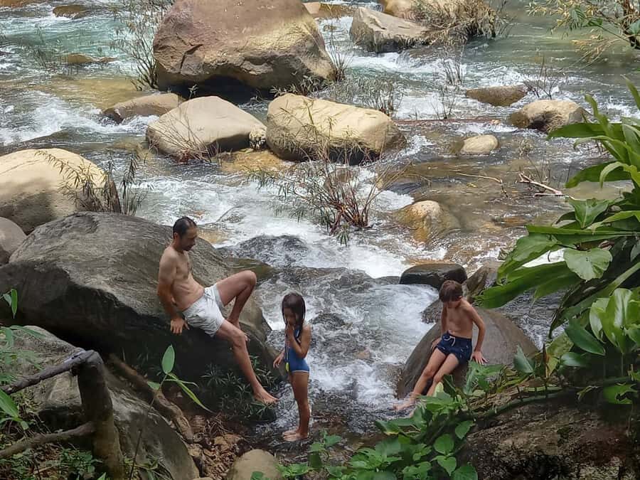 Khao Lak: Khao Sok Elephant Sanctuary and Night Jungle Walk - The Value of the Experience