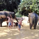 Khao Lak: Khao Sok Private Elephant Daycare & Bamboo Rafting - Why This Tour Offers Great Value