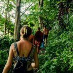 Khao Lak: Private Khao Sok Jungle Safari with Bamboo Rafting - The Jungle Trek and Hidden Waterfall