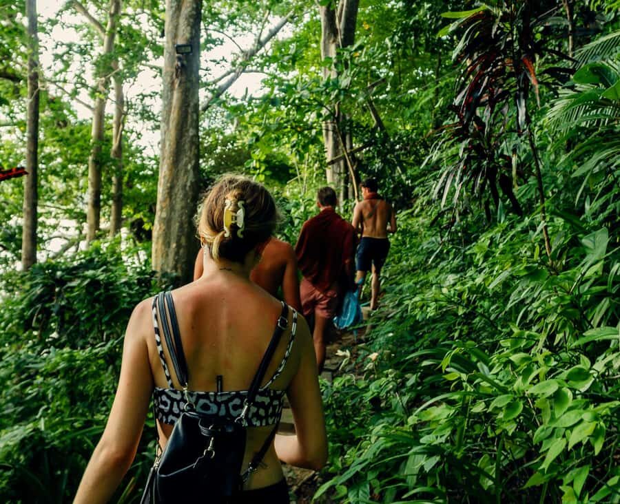 Khao Lak: Private Khao Sok Jungle Safari with Bamboo Rafting - The Jungle Trek and Hidden Waterfall