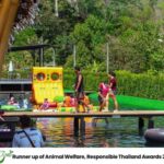 Khao Lak: River Tubing Tour with Hotel Transfer - The Main Attraction: Jungle River Tubing