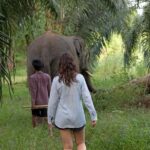 Khao Lak: Unique Dusk Ethical Elephant Sanctuary Experience - The Practicalities: What You Should Know