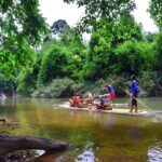 Khao Sok: Elephant Rescue Center with Lunch & Bamboo Rafting - What We Love About This Tour