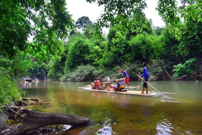 Khao Sok: Elephant Rescue Center with Lunch & Bamboo Rafting - What We Love About This Tour