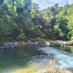 Khao Sok: Full Day Half Night Trek with Lunch & Dinner - In-Depth Look at the Khao Sok Full-Day Trek