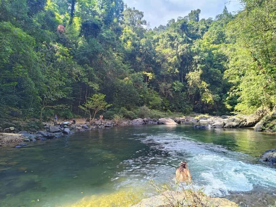 Khao Sok: Full Day Half Night Trek with Lunch & Dinner - In-Depth Look at the Khao Sok Full-Day Trek