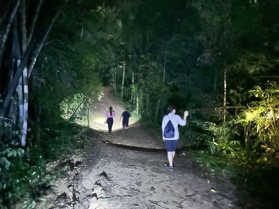 Khao Sok Jungle Sunset Wildlife Encounter & Bamboo Rafting - Transport, Duration, and Group Size