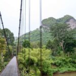 Khao Sok: Khlong Saeng Community Tour with Cooking Class - Practical Considerations and Value